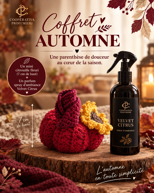 Coffret Automne – Mini Citrouille Crochet & Parfum d'Intérieur