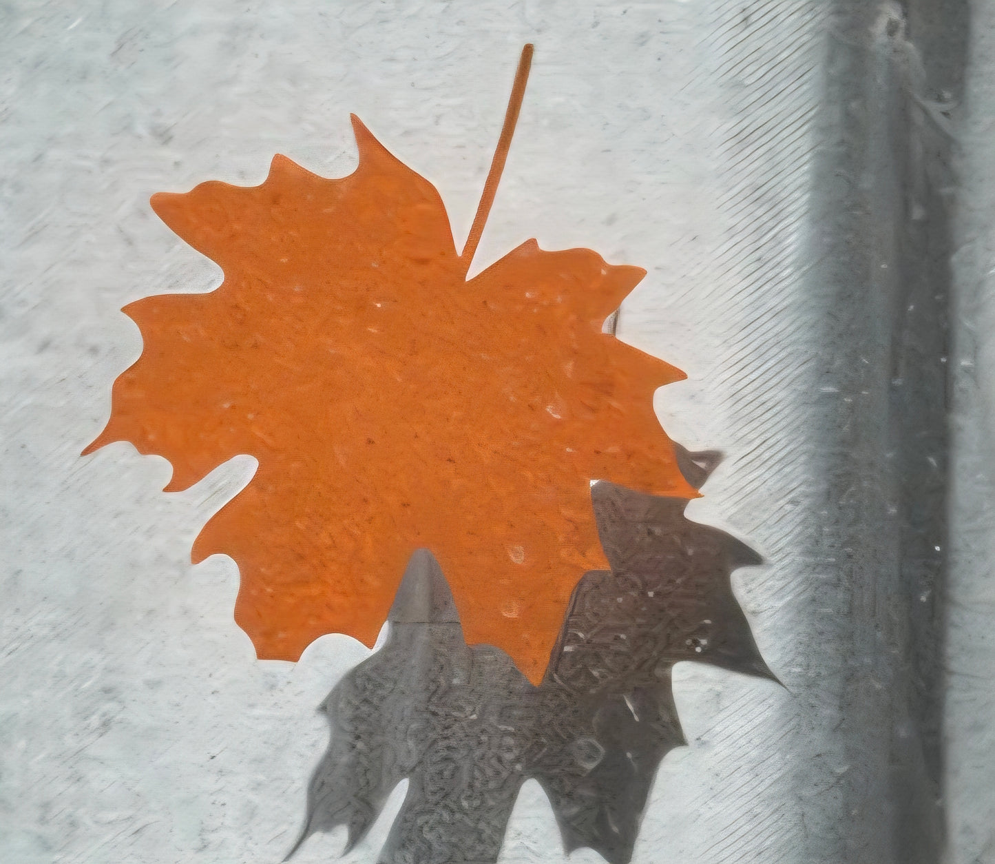 Décoration vitre automne